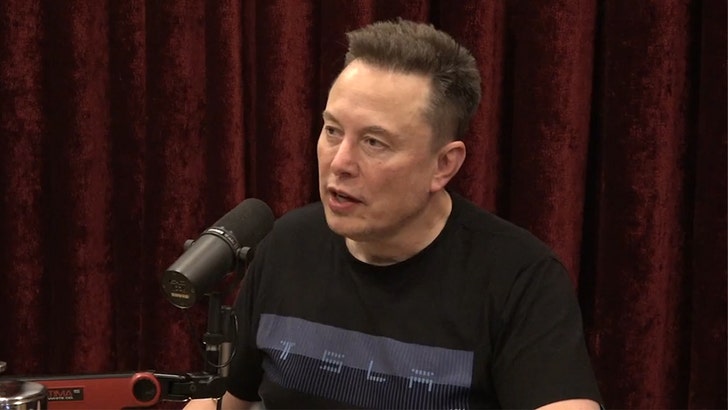 elon-musk-joe-rogan-kal-10-31-2025