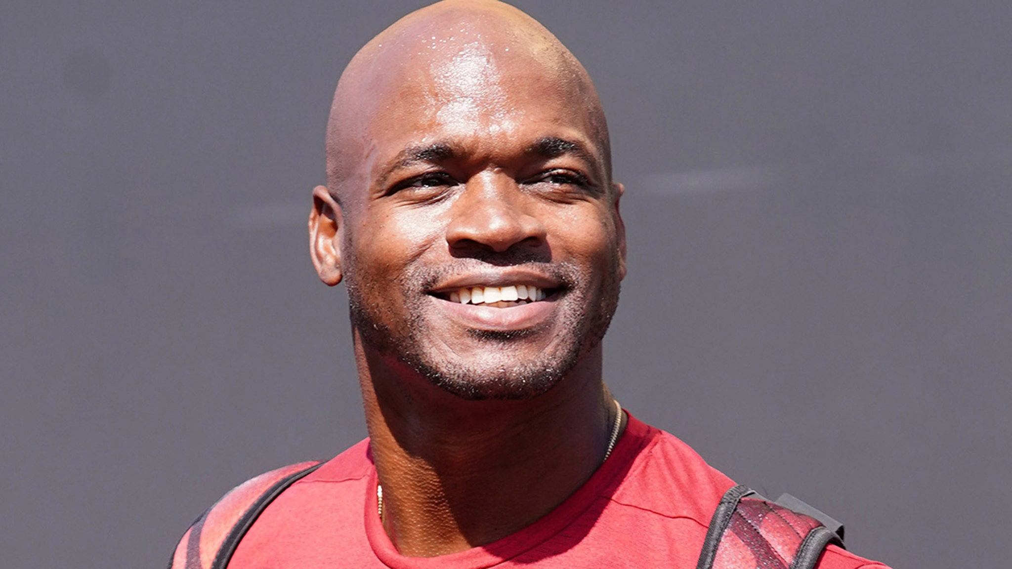 Ex-NFL Star Adrian Peterson Satisfies Community Service in DWI Case