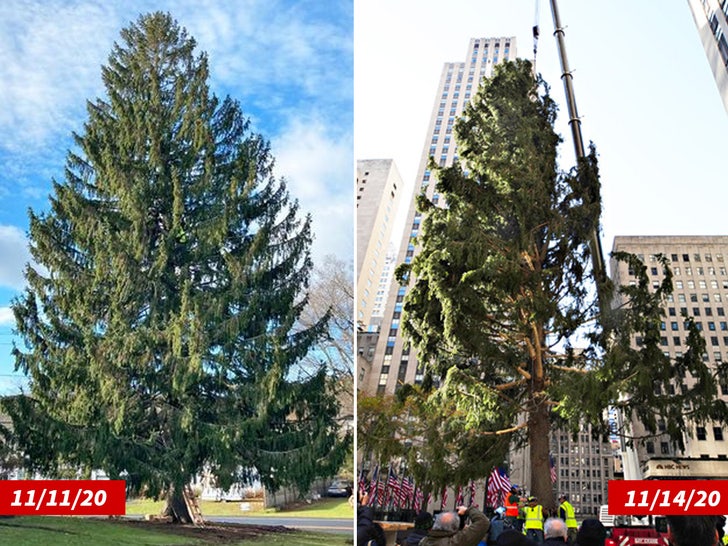 1118 The Rockefeller Center Christmas Tree getty Rockefeller