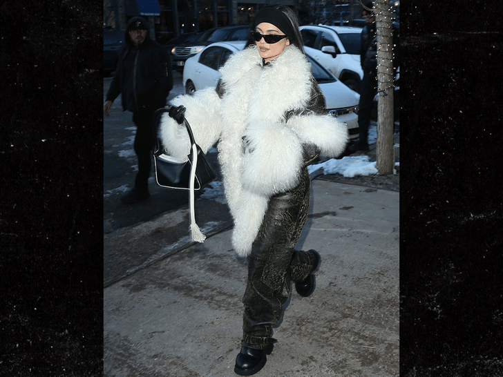 Kylie Jenner Wearing Fur Scarf On Aspen Trip