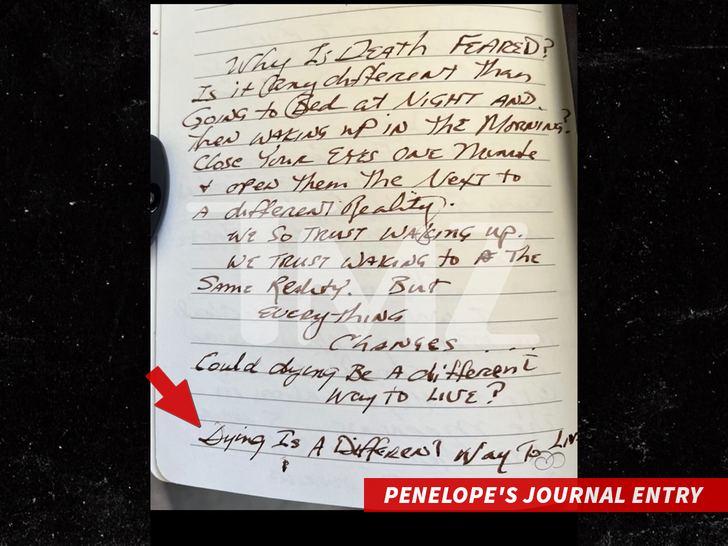 Alexis Bellino mother PENELOPE'S JOURNAL ENTRY