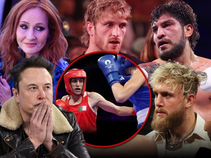 elon musk jake paul logan paul jk rowiling and dillon danis boxing