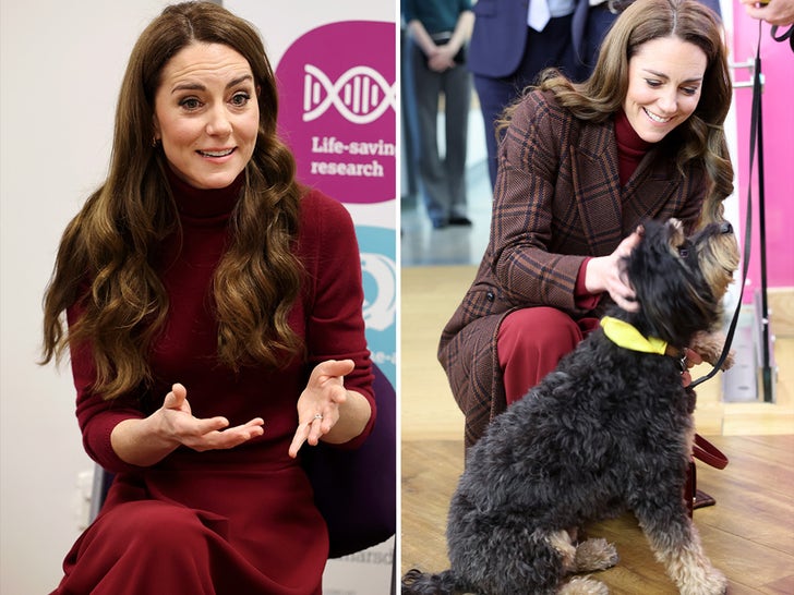 0114-Kate-Middleton-Visits-Hospital-SUB-3