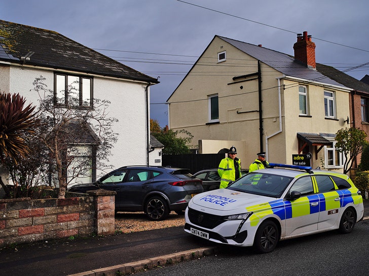 baby dead after dog attack in wales getty 1