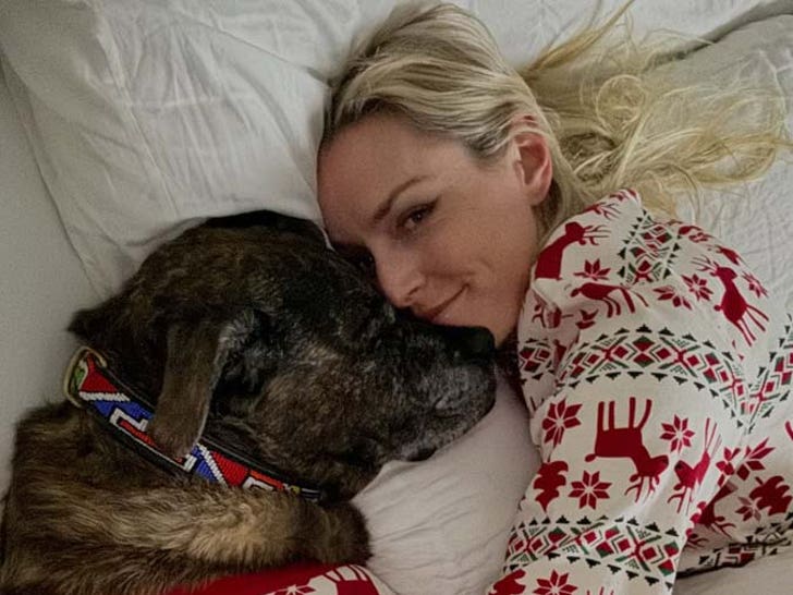 Lindsay vonn el perro