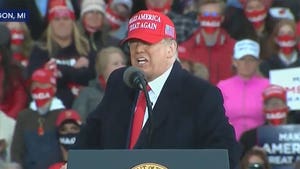 Trump says at Michigan Rally, Pushing Around Protesters a "Beautiful Thing"