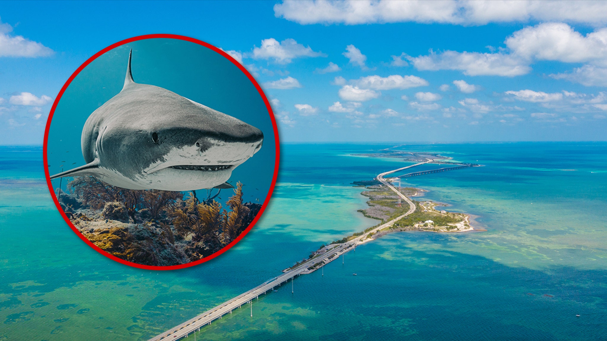 Shark Attacks 8-Year-Old Boy Off Key West, Florida, Seriously Injuring Leg