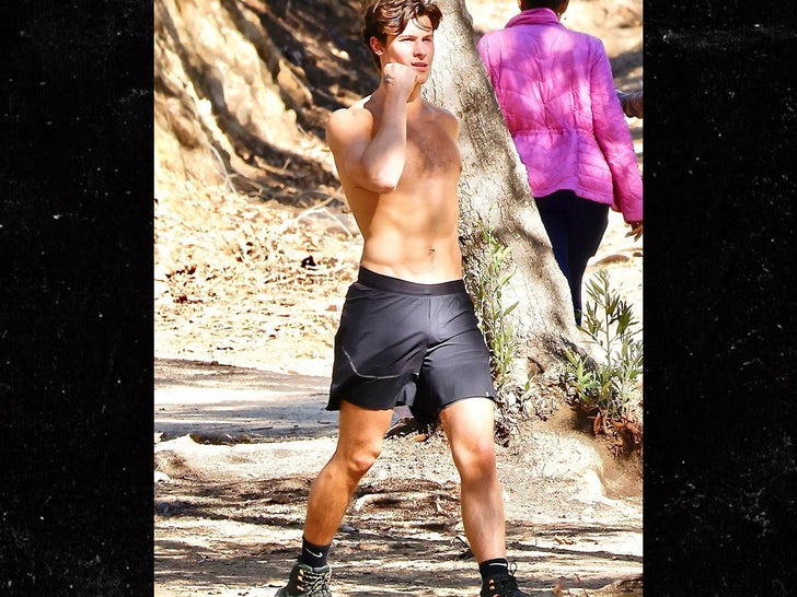 c7d46ebe52b74bc185bcb58840dd7405_md Shawn Mendes Shows Off Body On Shirtless Hike