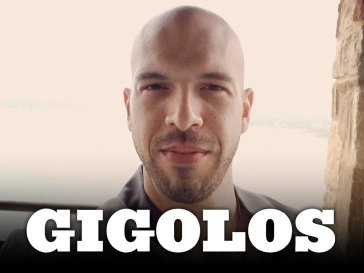 Jules Vin Armani Sex Worker Diddy Gigolos Main