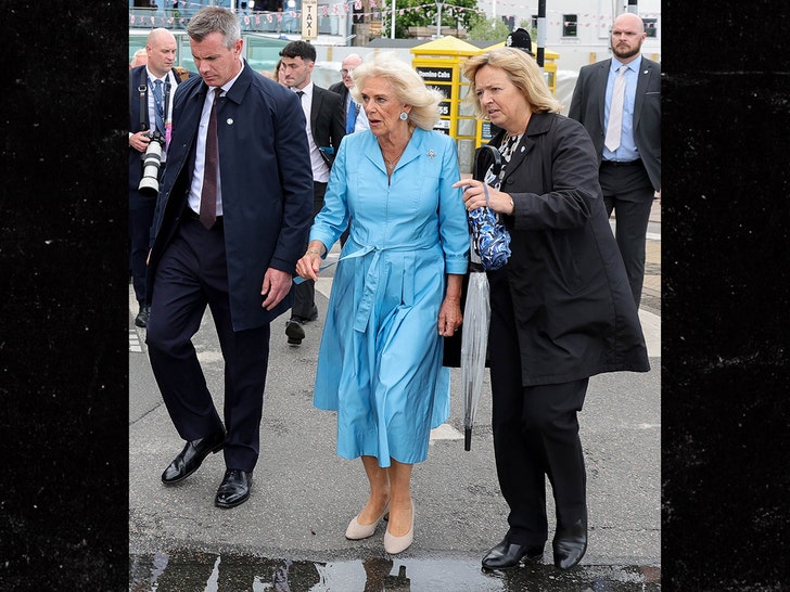 King Charles & Queen Camilla Rushed to Safety After Security Scare