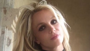 Britney Spears Posts #FreeBritney After Crying in Court