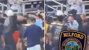 Youth-Baseball-Players-Fans-Brawl-1