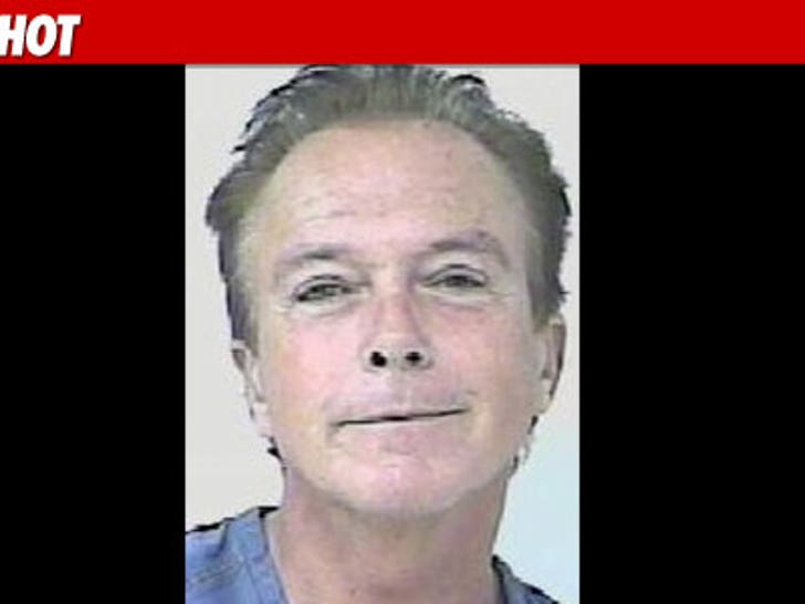 1104_david_cassidy_Mug_01