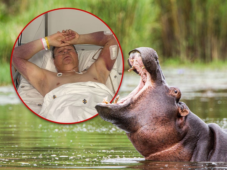 British Man ‘Badly Chewed Up’ in Hippo Attack