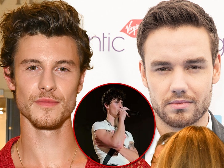 Shawn Mendes Stops Concert To Honor Liam Payne