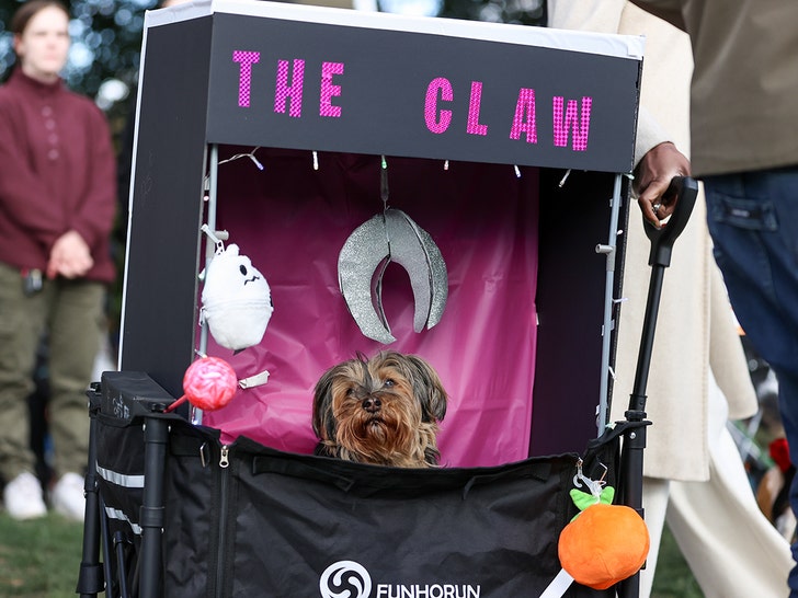 Toronto dog costume halloween