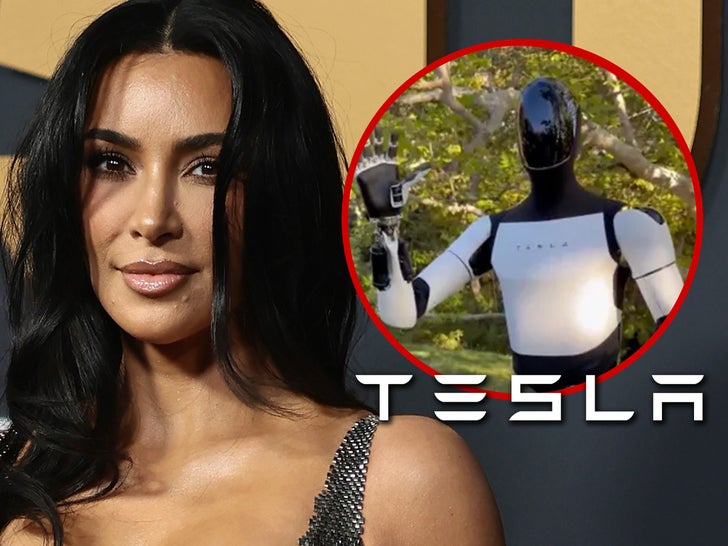 Kim Kardashian Tesla Robot