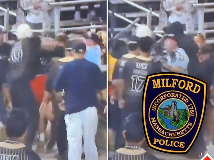 Youth-Baseball-Players-Fans-Brawl-1