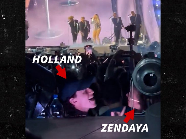 Zendaya & Tom Holland Sing 'Love On Top' Together At Beyoncé's Concert