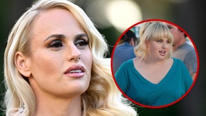 Rebel Wilson Says Her Agency 'Liked Me Fat' Because Roles Paid Well