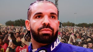 Drake Dismissed From Astroworld Class Action Lawsuit