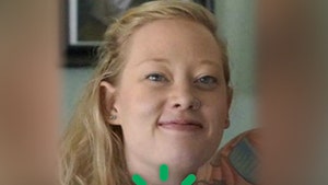 renee good gofundme main no cred