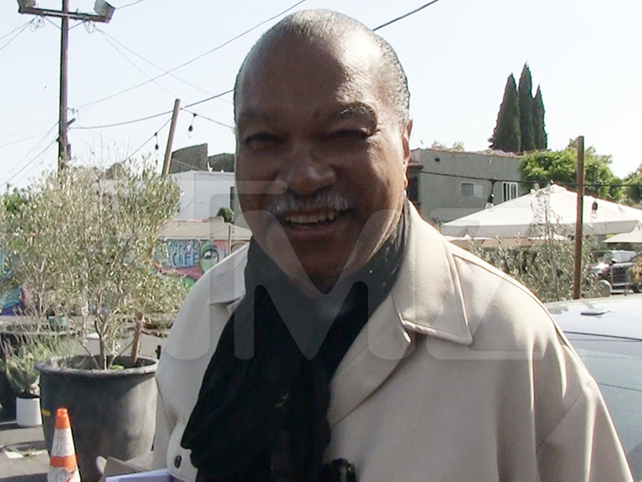 Star Wars actor Billy Dee Williams thinks of him/herself as