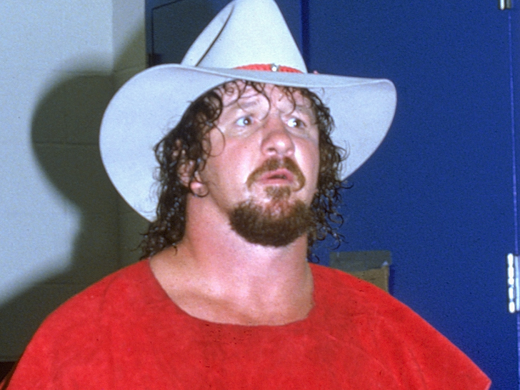 Entertainment Terry Funk