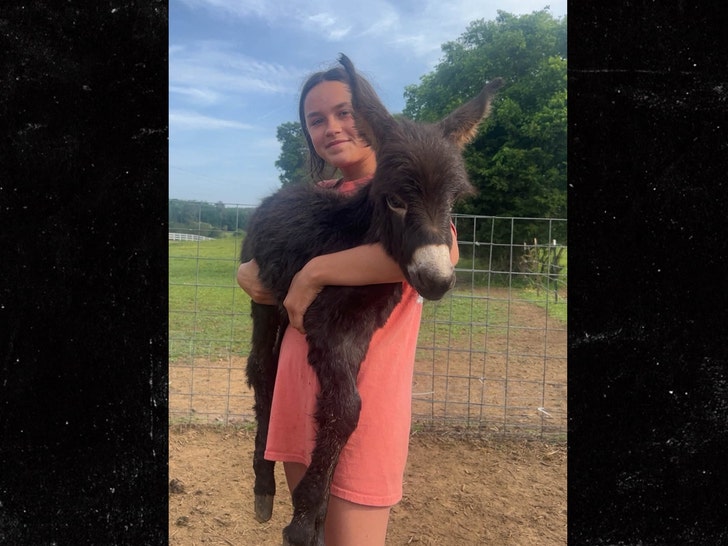 Elsberry Riding and Farm 3