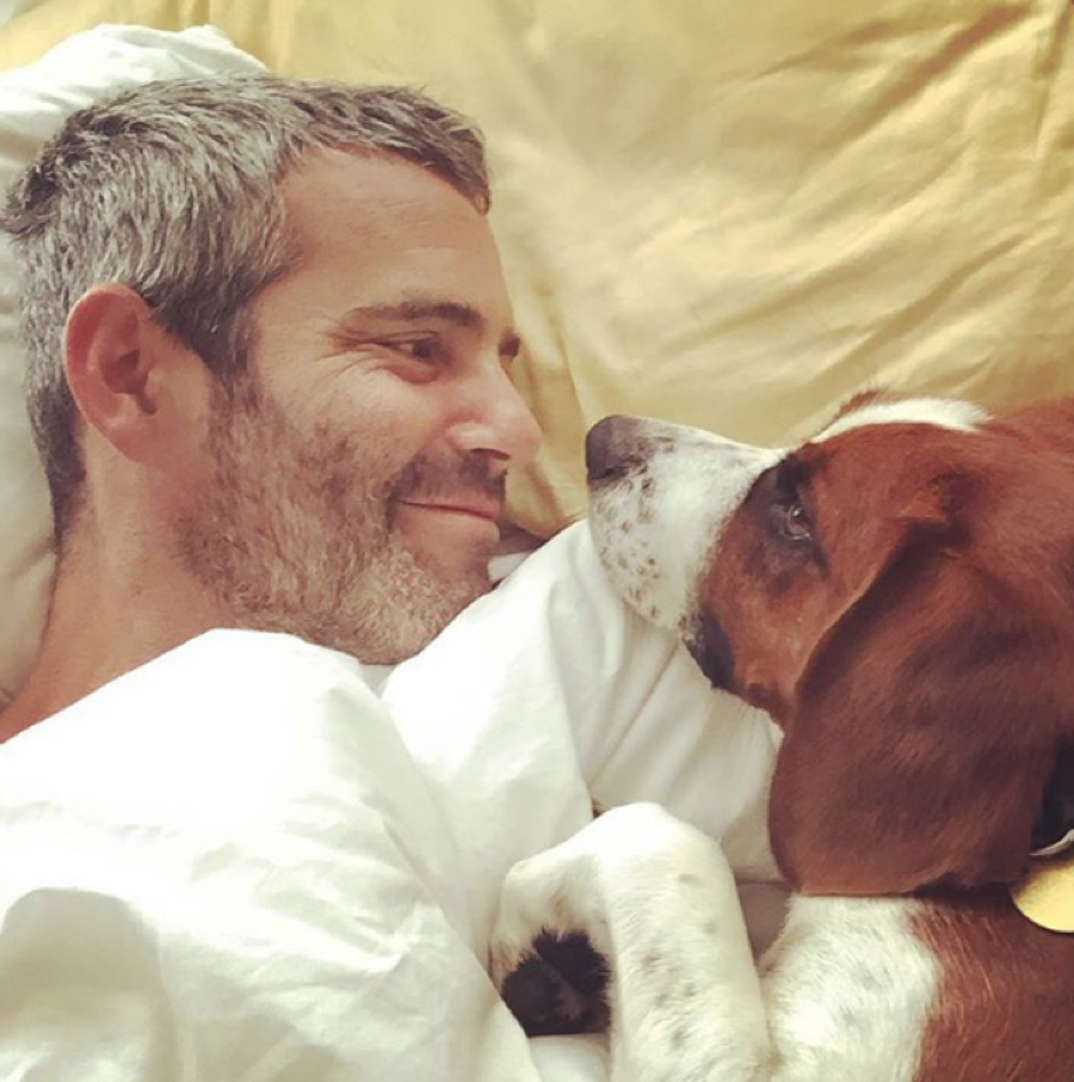 0518_andy_cohen_08
