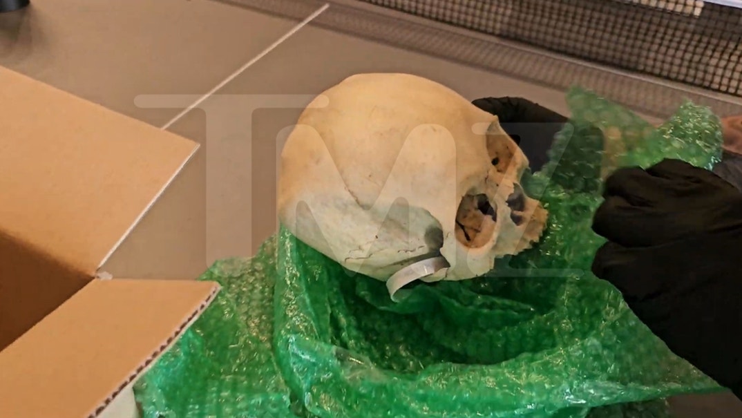 Hila Klein Human Skull 3