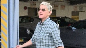 Ellen DeGeneres Chows Down with Ryan Seacrest and Talks 'American Idol' (VIDEO)