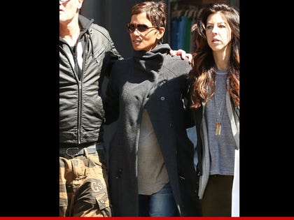 0406_halle_mobile_splash