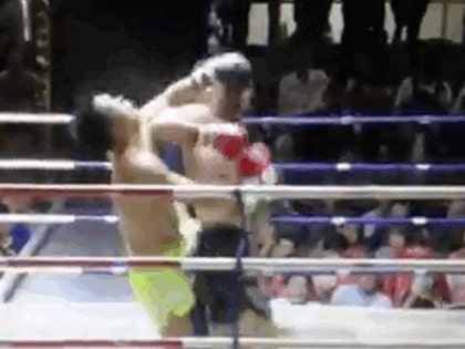 1231-primary-fighter-elbow