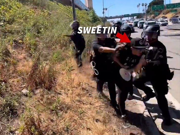 LAPD Shoves Jodie Sweetin