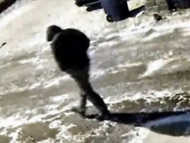 Spencer e Monique Tepe suspeitos