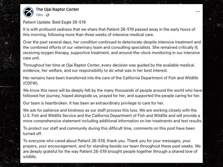 the ojai raptor center facebook