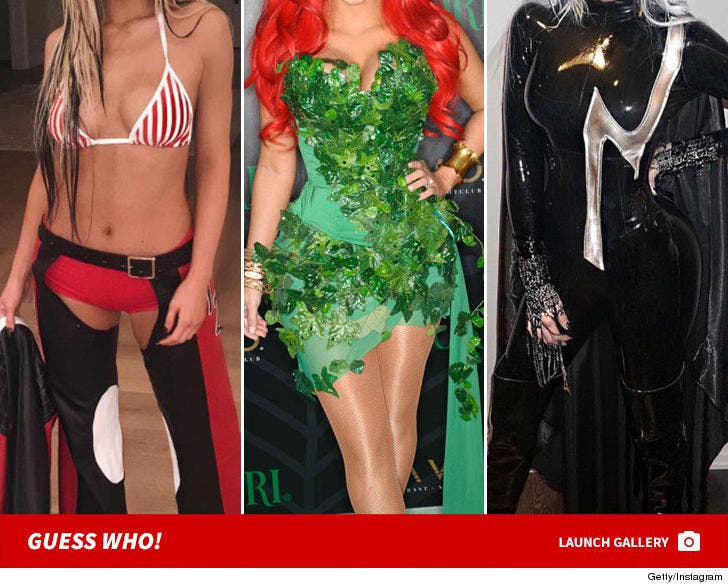 Kardashian Halloween Costumes -- Guess Who!