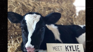 Kylie Jenner's Milk Discovery Inspires Dairy Farmer to Name Baby Cow After Her
