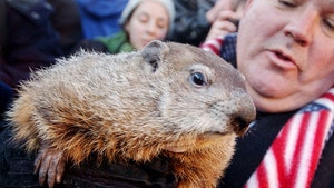 0202-Punxsutawney Phil-getty-01