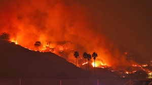 Franklin Fire Spreads Quickly 5 Miles North Of Downtown Malibu