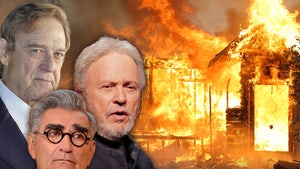 Billy Crystal, Eugene Levy, John Goodman, pacific palisades fire home burned down main getty