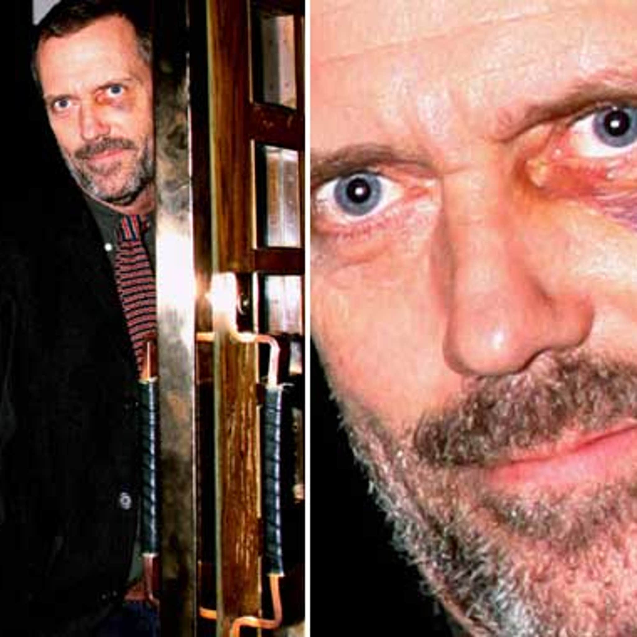 12th Doctor Hugh Laurie