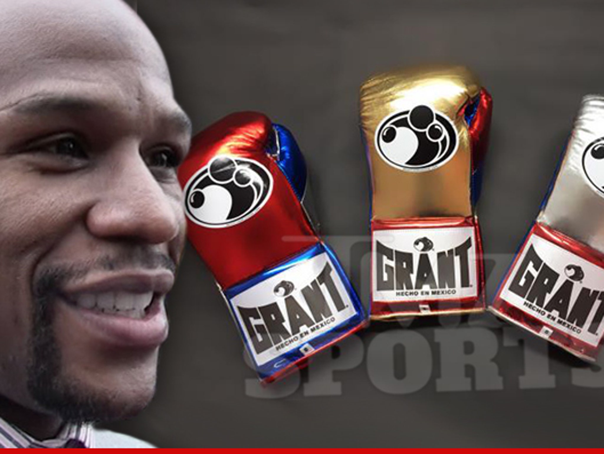 mayweather boxing gloves