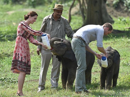 0413-william-kate-getty-02