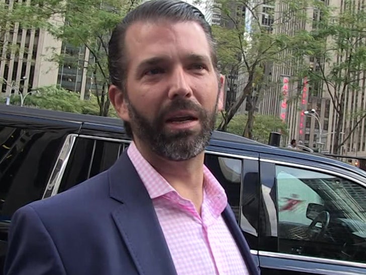 1120 Donald Trump Jr tmz