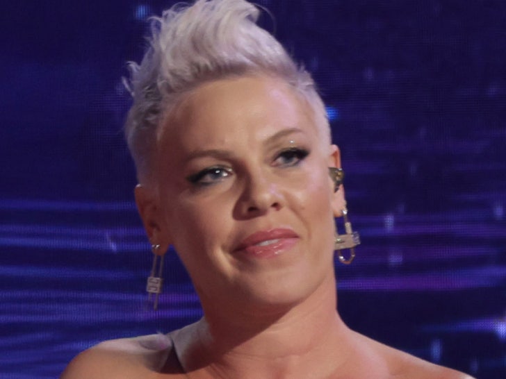 Pink Postpones Upcoming Concerts, Cites ‘Reasons Beyond My Control’