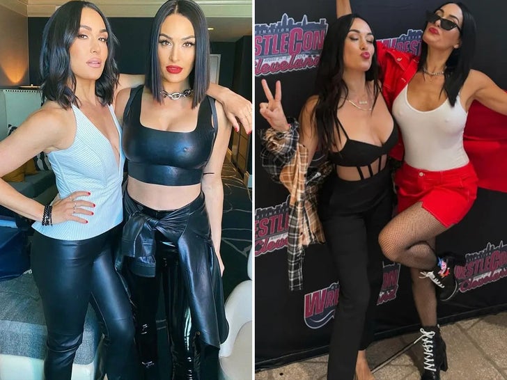 Brie and Nikki Garcia -- Total Hotties