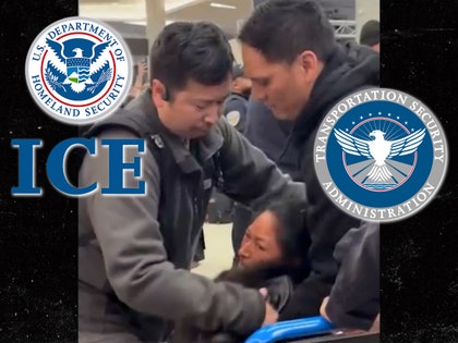 ice tsa 1