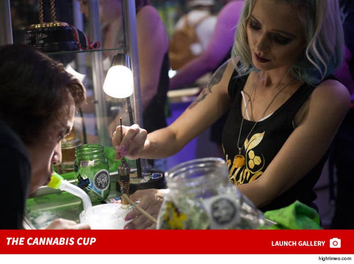 The Cannabis Cup